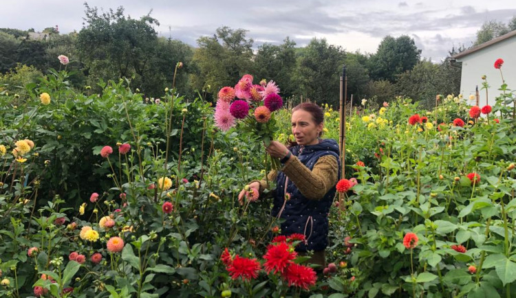 V záplavě květin se Jiřina občas úplně ztratí.