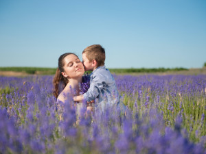 České Provence. Blahodárné účinky levandulí poznávají tisíce návštěvníků areálu kousek za Prahou