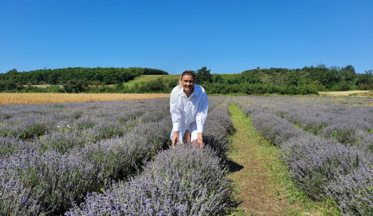 Helena Neumannová v Levandulovém údolí.