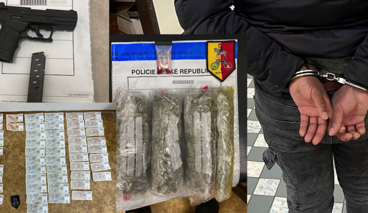 Kriminalisté za půl roku zadrželi 110 prodejců drog.