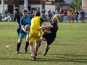 Brno obhájilo titul mistra České republiky ve famfrpálu