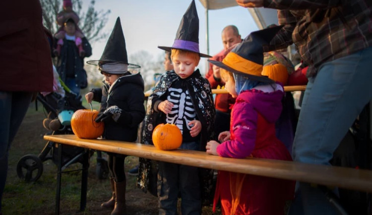 Dýně a strašidla. Botanická zahrada chystá halloweenské odpoledne