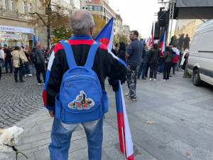 VIDEO: Na Václavském náměstí protestují tisíce lidí. Chtějí demisi vlády