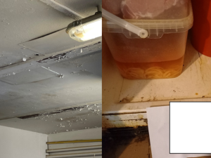 Oloupaný strop, špinavé lednice, nádobí u záchodu. Pražští hygienici pokutovali restaurace