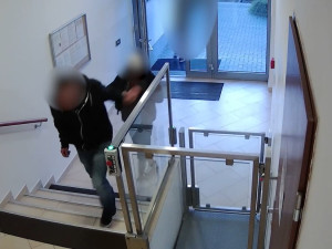 VIDEO: Zloděj kradl v kancelářích i sklepech. Jeho poslední výpravu mu překazila policie