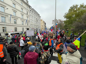 Lidé nesou transparenty a vlajky