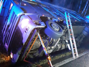 U Prahy se do příkopu převrátil kamion s prasaty. Dvacet zvířat uhynulo