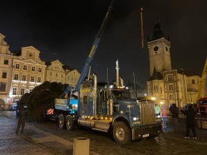 VIDEO: Na Staroměstském náměstí v Praze už stojí vánoční strom