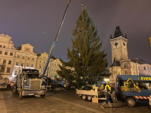 VIDEO: Na Staroměstském náměstí v Praze už stojí vánoční strom