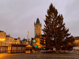 VIDEO: Na Staroměstském náměstí v Praze už stojí vánoční strom