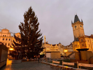 VIDEO: Na Staroměstském náměstí v Praze už stojí vánoční strom