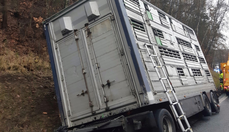 V návěsu uhynulo asi dvacet zvířat.