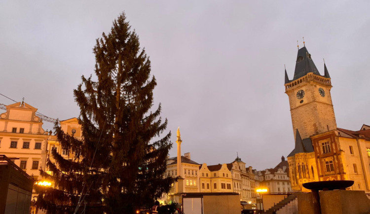 VIDEO: Na Staroměstském náměstí v Praze už stojí vánoční strom