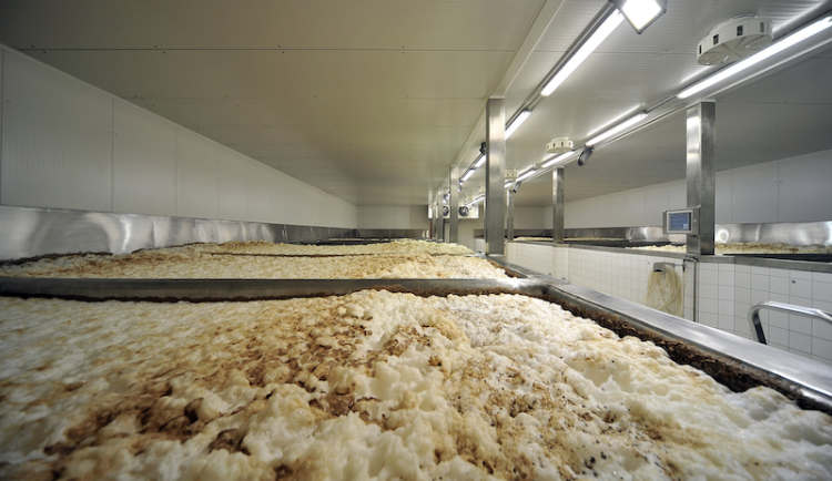 Ředitel pivovaru Svijany: Dál budeme vařit kvalitní české pivo poctivou tradiční technologií