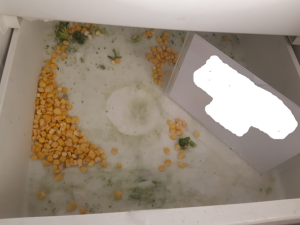 Pražští hygienici rozdali v říjnu skoro třicet pokut. Nelíbil se jim mastný strop a špína