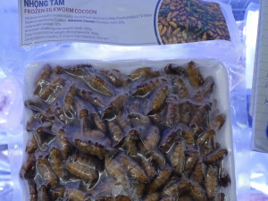 Ve skladu potravin na Žižkově ukrývali nelegální hmyz