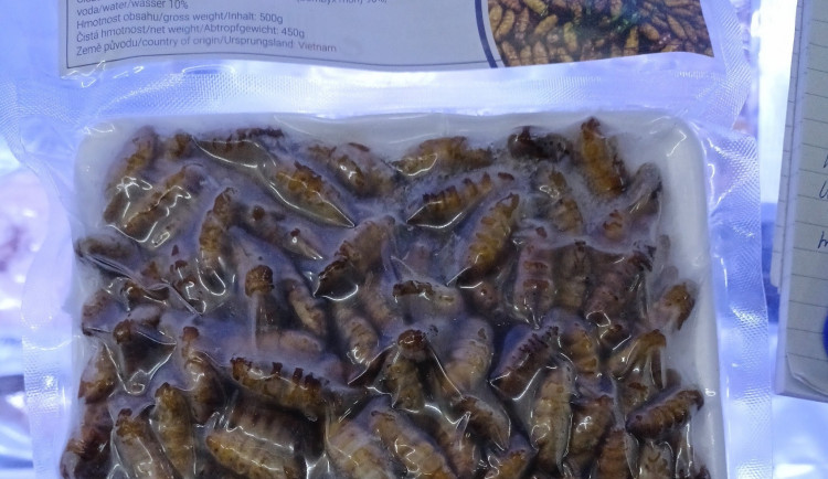 Larvy museli zničit.