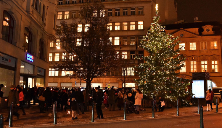 Strom ve Vodičkově ulici.