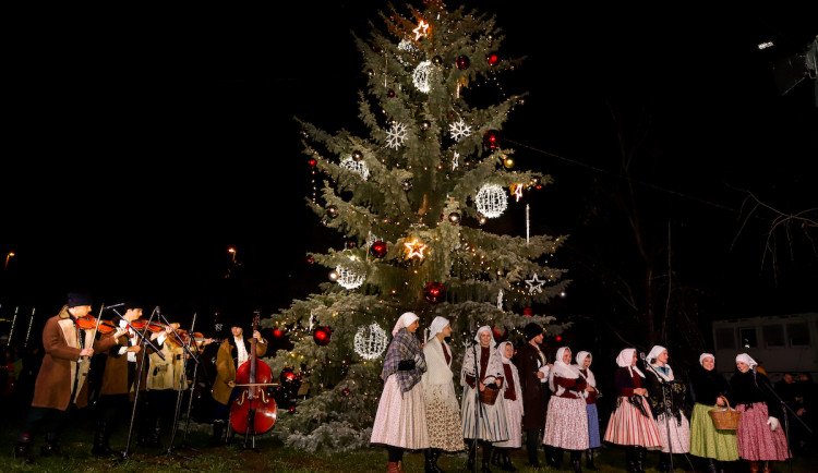 VÁNOCE NA ŠESTCE: Bruslení zdarma, pět vánočních stromů a dva týdny koncertů