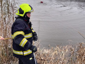 Do rybníka v Praze sjelo auto, vytáhli ho hasičští potápěči