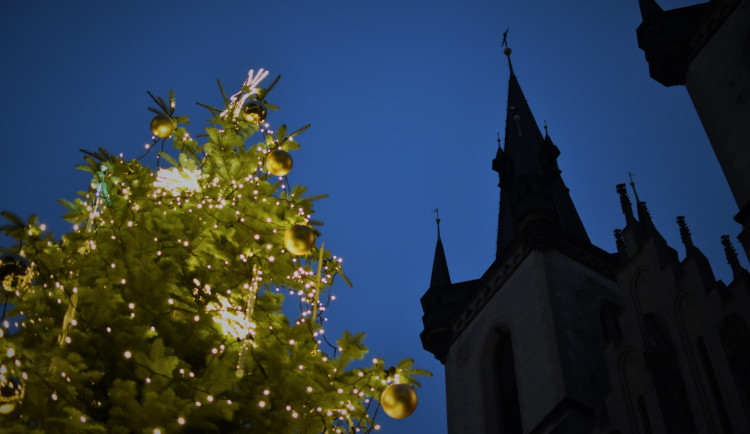 Strom na Strossmayerově náměstí.