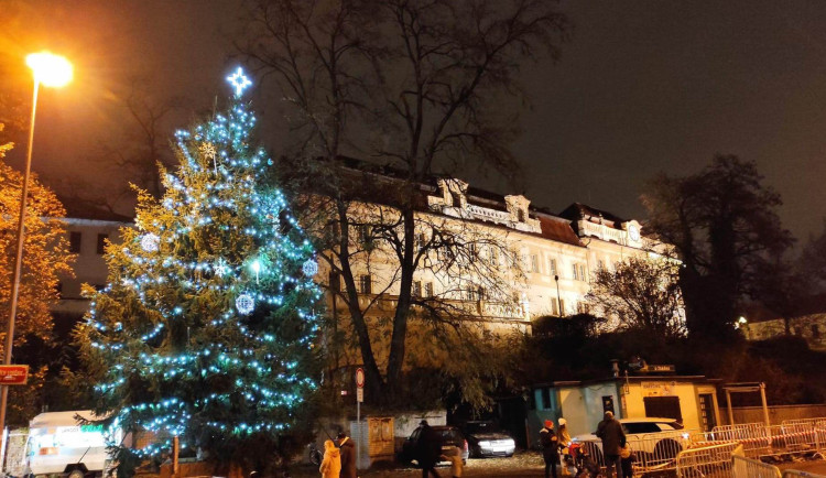 Strom na Elsnicově náměstí.