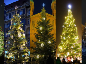 ANKETA: Která městská část má letos ten nejkrásnější vánoční strom?