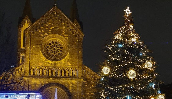 Anketu o nejkrásnější vánoční strom ovládl smrk z Karlína