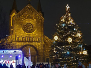 Anketu o nejkrásnější vánoční strom ovládl smrk z Karlína