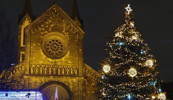 Anketu o nejkrásnější vánoční strom ovládl smrk z Karlína
