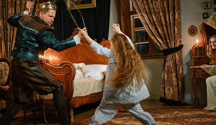 ANKETA: Jak se vám líbila nová štědrovečerní pohádka?