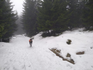 Pohřešovanou matku se synem z Prahy stále nenašli, na pomoc přiletěl vrtulník