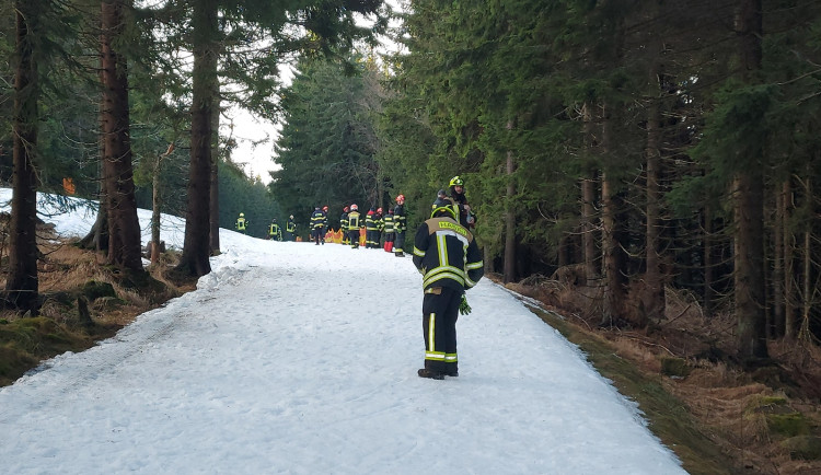 Pátrací akce se znovu rozjela v 8. hodin ráno