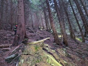 VIDEO: Po matce se synem z Prahy pátrají už čtvrtý den, hledá je 150 lidí
