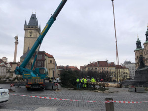 VIDEO: Pražský vánoční strom šel k zemi. Budou z něj