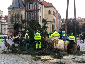 VIDEO: Pražský vánoční strom šel k zemi. Budou z něj stoly a lavice pro děti