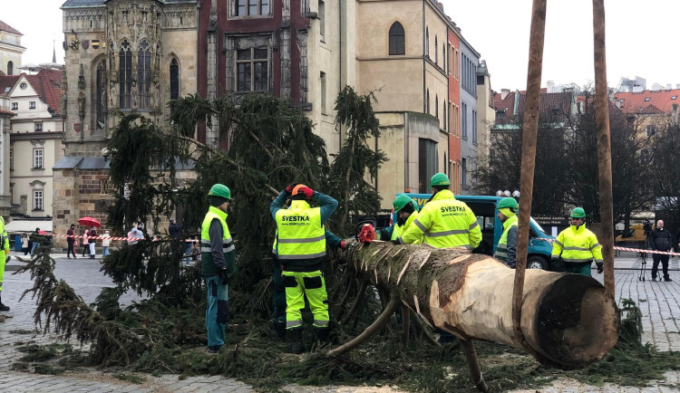 VIDEO: Pražský vánoční strom šel k zemi. Budou z něj