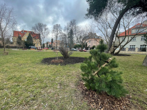 Hřiště na Hanspaulce má novou houpačku, kolotoč i písek. Potěší i dospělé