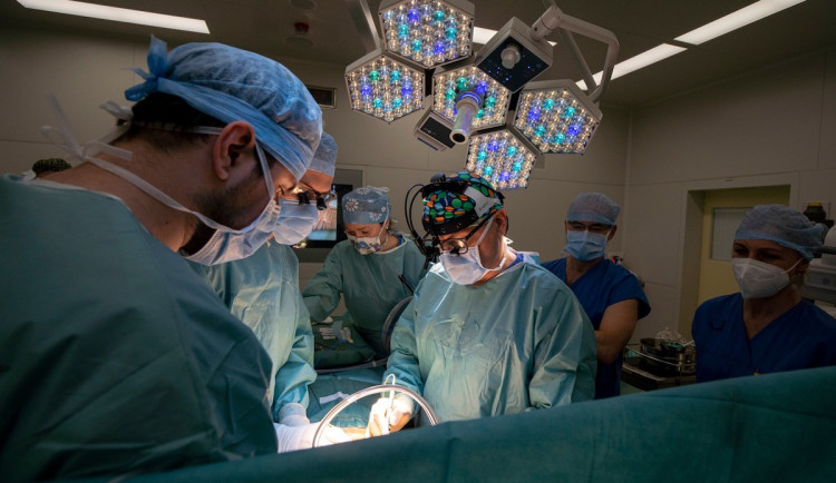 Lékaři v pražském IKEM loni transplantovali 528 orgánů, 60 procent všech v ČR
