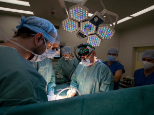 Lékaři v pražském IKEM loni transplantovali 528 orgánů, 60 procent všech v ČR
