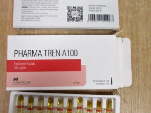 Vycpaný krokodýl, kila drog, padělky za sto milionů. Ruzyňští celníci odhalili přes tisíc případů nelegálního zboží