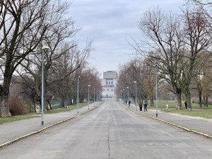 Na Vítkově jde k zemi přes sedmdesát stromů. Na jaře má začít revitalizace