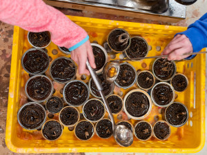 Pražští skauti vyrábí zákopové svíčky pro Ukrajinu. Do země jich poslali už přes dva a půl tisíce