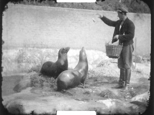 Lachtani darovaní Vlastou Burianem.