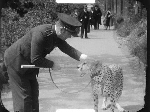 Autor filmů s gepardem Mignonem.