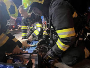 VIDEO: Při požáru v Praze zemřeli dva psi, hasiči jim dávali první pomoc