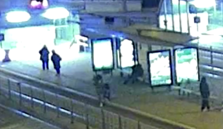 U nádraží v Brně kousal agresivní pes cestující. Strážníci na něj vytáhli zbraň