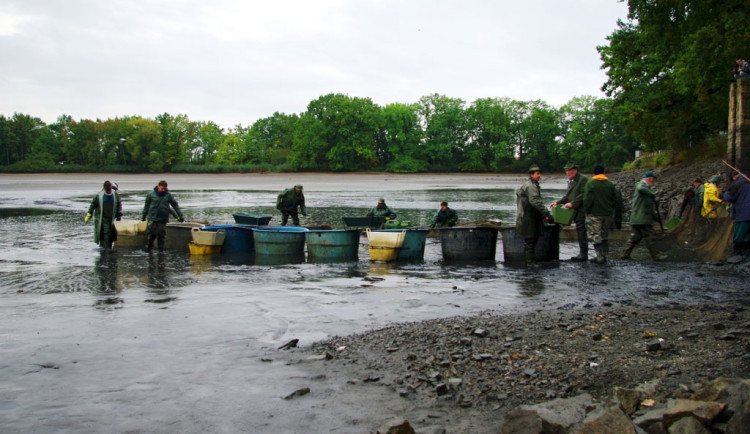 Pražští rybáři chystají jarní výlovy. Vypustí devět rybníků