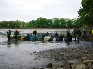 Pražští rybáři chystají jarní výlovy. Vypustí devět rybníků