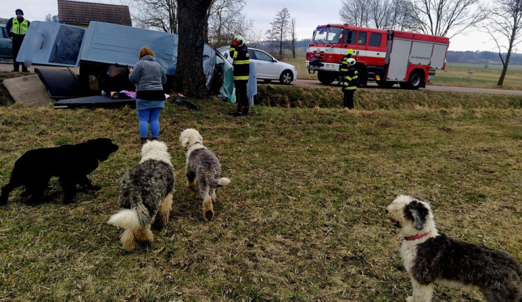Problémová pejskařka z Prahy havarovala na jihu Čech. Čtrnáct psů uteklo do luk, jeden po nehodě zahynul